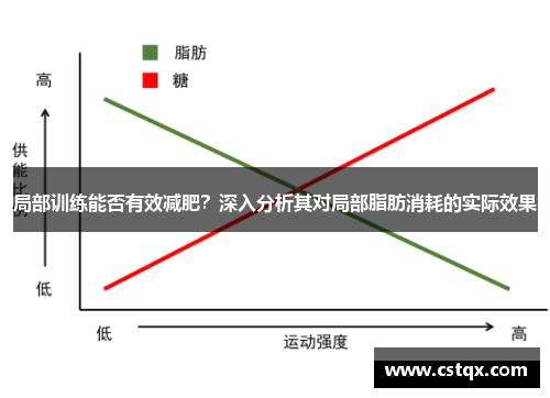局部训练能否有效减肥？深入分析其对局部脂肪消耗的实际效果
